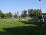 Gelungener Start f&uuml;r Ellrichs F- Jugend (Foto: Matthias Eichel)