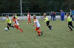 Klasse-Nachwuchs: U9 von Wacker Nordhausen (Foto: Martina Nebelung)