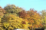 Herbstfarben am Panoramaweg bei Blankenburg (Foto: Peter Blei) Herbstfarben am Panoramaweg bei Blankenburg (Foto: Peter Blei)