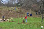 25 B&auml;ume gepflanzt (Foto: Helmut Michel)