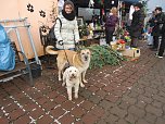 Weihnachtsmarkt im Tierheim (Foto: privat) Weihnachtsmarkt im Tierheim (Foto: privat)