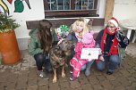 Weihnachtsmarkt im Tierheim (Foto: privat) Weihnachtsmarkt im Tierheim (Foto: privat)