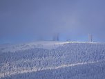 Eine Waldschneise bei Benneckenstein (Foto: Peter Blei)