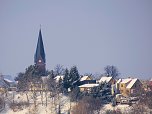 Tiere und Landschaft am Goitzschesee (Foto: Peter Blei)