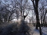Winter im Nordh&auml;user Stadtpark (Foto: I. Domogalski)