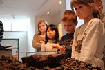 Steinzeit und Scriptorium - Ferienfreizeit in Nordhausens Stadthistorischem Museum (Foto: Angelo Glashagel)