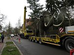 Das Mammut ist umgezogen (Foto: nnz)
