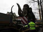 Das Mammut ist umgezogen (Foto: nnz)