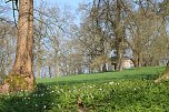 Der Fr&uuml;hling hat schon lange Einzug gehalten im Park Hohenrode (Foto: Angelo Glashagel)