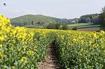 Erdfallseen, trockene Fl&uuml;sse und ganz viel Raps - Christian Schelauske war im Nordwesten des Landkreises unterwegs (Foto: Christian Schelauske)