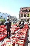 Erstmals mehr als 1000 Kisten voller B&uuml;cher - der gro&szlig;e KILA B&uuml;cherflohmarkt (Foto: Angelo Glashagel)