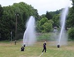 Pokallauf der Feuerwehren in Neustadt (Foto: C. Burkert)