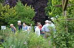 Tag der offenen G&auml;rten im Landkreis Nordhausen (Foto: Diana Moraweck)
