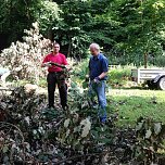 Ordentlich angepackt - acht Mitglieder des Ahornparkvereins schafften den alten Baumriesen aus dem Weg (Foto: Ahornpark Ilfeld e.V.) Ordentlich angepackt - acht Mitglieder des Ahornparkvereins schafften den alten Baumriesen aus dem Weg (Foto: Ahornpark Ilfeld e.V.)
