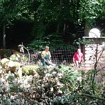 Ordentlich angepackt - acht Mitglieder des Ahornparkvereins schafften den alten Baumriesen aus dem Weg (Foto: Ahornpark Ilfeld e.V.) Ordentlich angepackt - acht Mitglieder des Ahornparkvereins schafften den alten Baumriesen aus dem Weg (Foto: Ahornpark Ilfeld e.V.)