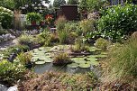 Der Seerosenteich. Hier f&uuml;hlt sich Froschweibchen Kermelinchen wohl. (Foto: Kurt Frank)