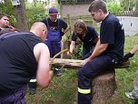 Jugendfeuerwehr der Gemeinde Werther im Schullandheim Harzrigi (Foto: Horizont e.V.) Jugendfeuerwehr der Gemeinde Werther im Schullandheim Harzrigi (Foto: Horizont e.V.)