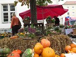 Herbstmarkt in Nordhausen (Foto: nnz)