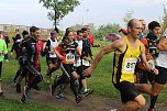 Die langen Strecken beim Stadtparklauf (Foto: Karl-Heinz Herrmann)