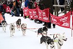 Schlittenhunderennen in Hasselfelde (Foto: Peter Blei)