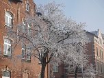 Winterzauber: Oskar-Cohn-Stra&szlig;e am HSB-Bahnhof (Foto: Bernd Thielbeer)