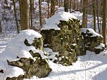 Winter auf der Ruine (Foto: privat)