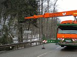 Holzeinschlag im Schuhmannstal (Foto: Forstamt Bleicherode-S&uuml;dharz)