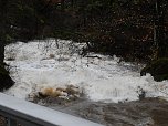 Die Bere führt Hochwasser (Foto: Peter Blei) Die Bere führt Hochwasser (Foto: Peter Blei)