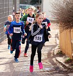 2138 Runden f&uuml;r Lesetipi und Erneuerung des Fu&szlig;ballk&auml;figs (Foto: privat)