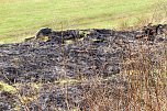 Fl&auml;chenbrand bei Sollstedt (Foto: Bernd Peter)