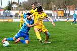 Wacker verliert gegen Auerbach im heimischen AKS (Foto: Bernd Peter)