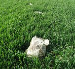 Illegale Entsorgung am Wanderweg (Foto: privat)