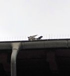 Hier muss gehandelt werden (Foto: Peter Blei)