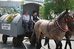 Festumzug zum 1090. Geburtstag der Rolandstadt (Foto: nnz)