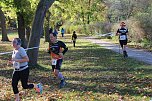 24. Stadtparklauf in Sondershausen (1) (Foto: Karl-Heinz Herrmann)