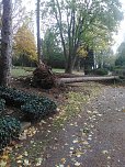 Umgestürzte Bäume auf dem Hauptfriedhof (Foto: L. Hillmann) Umgestürzte Bäume auf dem Hauptfriedhof (Foto: L. Hillmann)