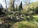 Aufr&auml;umarbeiten auf dem Hauptfriedhof (Foto: Peter Blei)