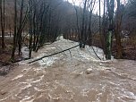 Hochwasser in der Bere bei Ilfeld (Foto: Susanne Schedwill)