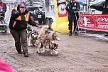 Schlittenhunderennen in Pullmann City II (Foto: Peter Blei) Schlittenhunderennen in Pullmann City II (Foto: Peter Blei)