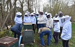 Wellness f&uuml;r die Bienen (Foto: Th. Soszynski)