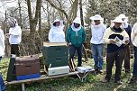 Wellness f&uuml;r die Bienen (Foto: Th. Soszynski)