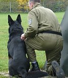 Für tauglich befunden (Foto: PD NDH) Für tauglich befunden (Foto: PD NDH)