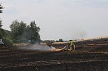 Abgebranntes Feld bei Niedersachswerfen (Foto: Angelo Glashagel)