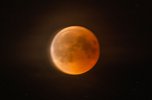 Blutmond &uuml;ber Bielen (Foto: F. Jeschke)