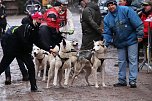 Hundeschlittenrennen in Pullman City (Foto: Peter Blei) Hundeschlittenrennen in Pullman City (Foto: Peter Blei)