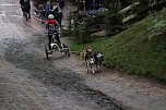 Hundeschlittenrennen in Pullman City (Foto: Peter Blei) Hundeschlittenrennen in Pullman City (Foto: Peter Blei)
