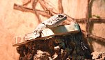 Reptilien Ausstellung (Foto: City Scout Sven G&auml;mkow)