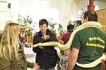 Reptilien Ausstellung (Foto: City Scout Sven G&auml;mkow)