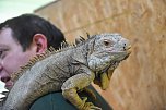 Reptilien Ausstellung (Foto: City Scout Sven G&auml;mkow)