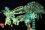 Lichtershow im Bergzoo Halle (Foto: Peter Blei)